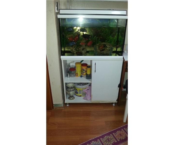 komple akvarsum setı we balıklara beraber werıcem ıcındekı balıklar sadece 600 yapar 